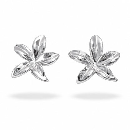 Boucles d’oreilles Alice en acier inoxydable argenté - Luneia Bijoux