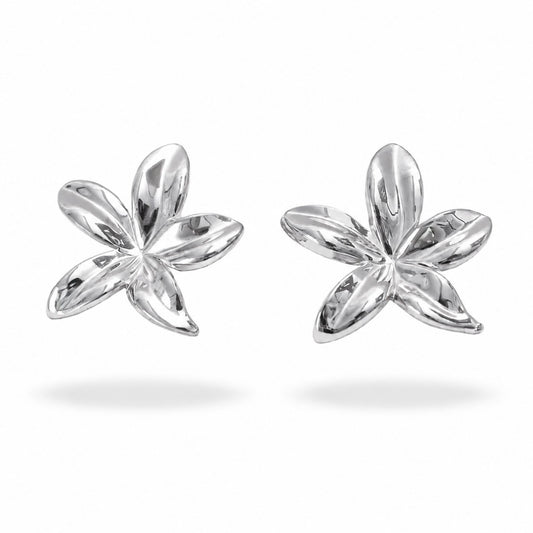 Boucles d’oreilles Alice en acier inoxydable argenté - Luneia Bijoux